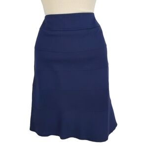 Juliana Collezione Blue Stripe Panel A-Line Skirt